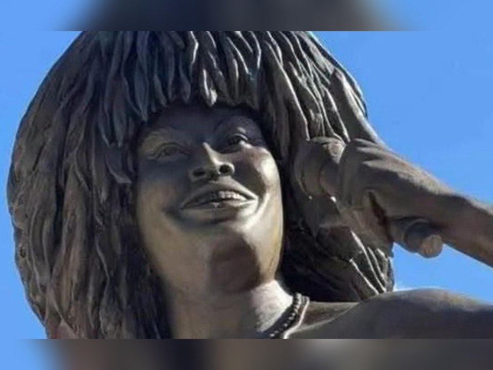 Fans entsetzt: Statue von Tina Turner sorgt für heftige Kritik