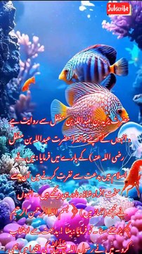 نماز کا بیان حدیث نمبر 815 سنن ابن ماجہ #قران #حدیث نبوی