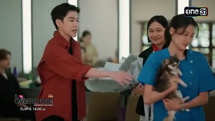 Overdose Episode 1 ENG Sub 🇹🇭 | Intense ABO & Omegaverse BL Drama