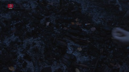 Forvandlingen - frihed kommer indefra | 2023 | DRTV