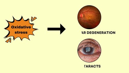 Food for your Eye, Tips Olive oil benefits #oliveoil