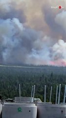 Paddy's Pond wildfire engulfs Newfoundland landscape in smoke as firefighters battle relentlessly