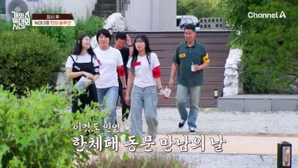 보호자 주도로 산책하는 법! 강형욱이 알려주는 대형견 산책 꿀팁?!