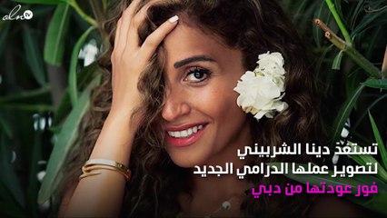 نجم جديد يقتحم حياة دينا الشربيني