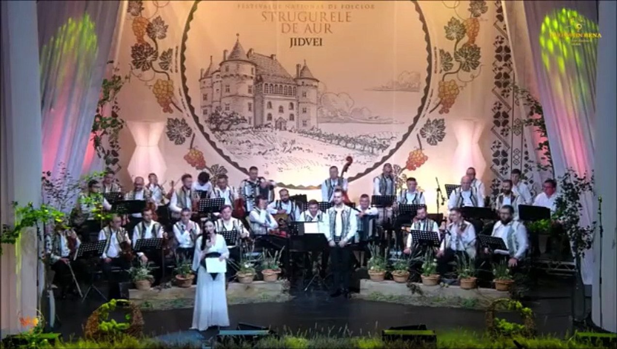 Valentin Vadrariu - Premiul al III-lea sectiunea solisti vocali (Festivalul National „Strugurele de aur” - Blaj - 05.09.2025)