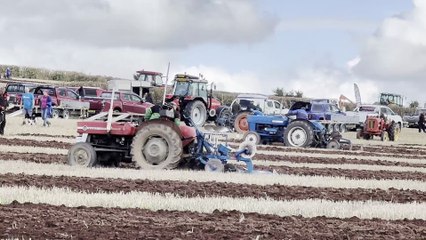 Lots of ploughing action at Cheriton Fitzpaine Ploughing Match, video Alan Quick IMG_3613