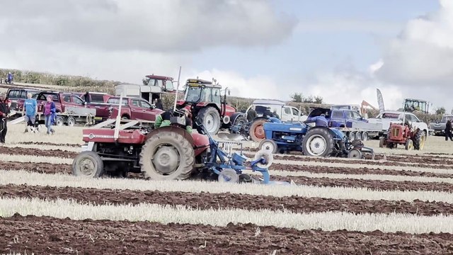 Lots of ploughing action at Cheriton Fitzpaine Ploughing Match, video Alan Quick IMG_3613
