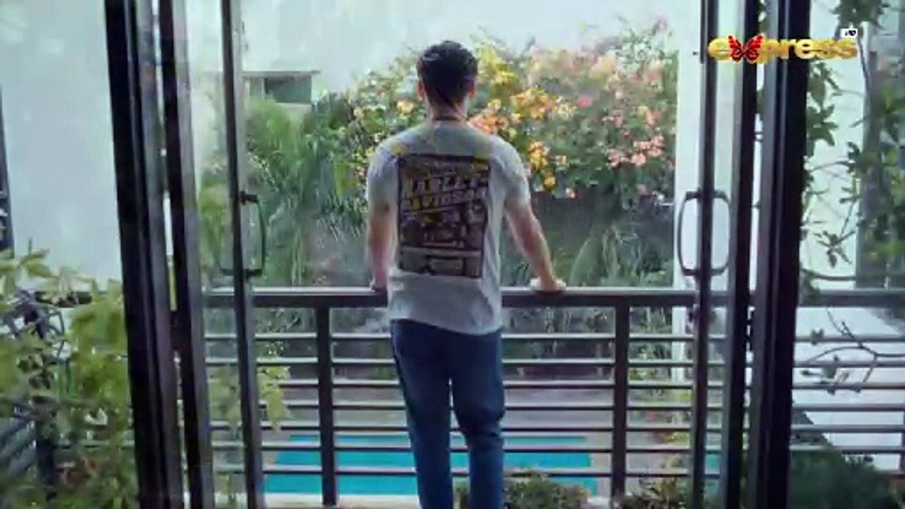 Tumhe Yaad Ho Ke Na Yaad Ho | Original Soundtrack | Dil Dhoondta Hai Phir Wohi _ Express TV