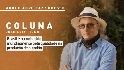 Aqui o agro faz sucesso: Brasil é reconhecido mundialmente pela qualidade na produção de algodão