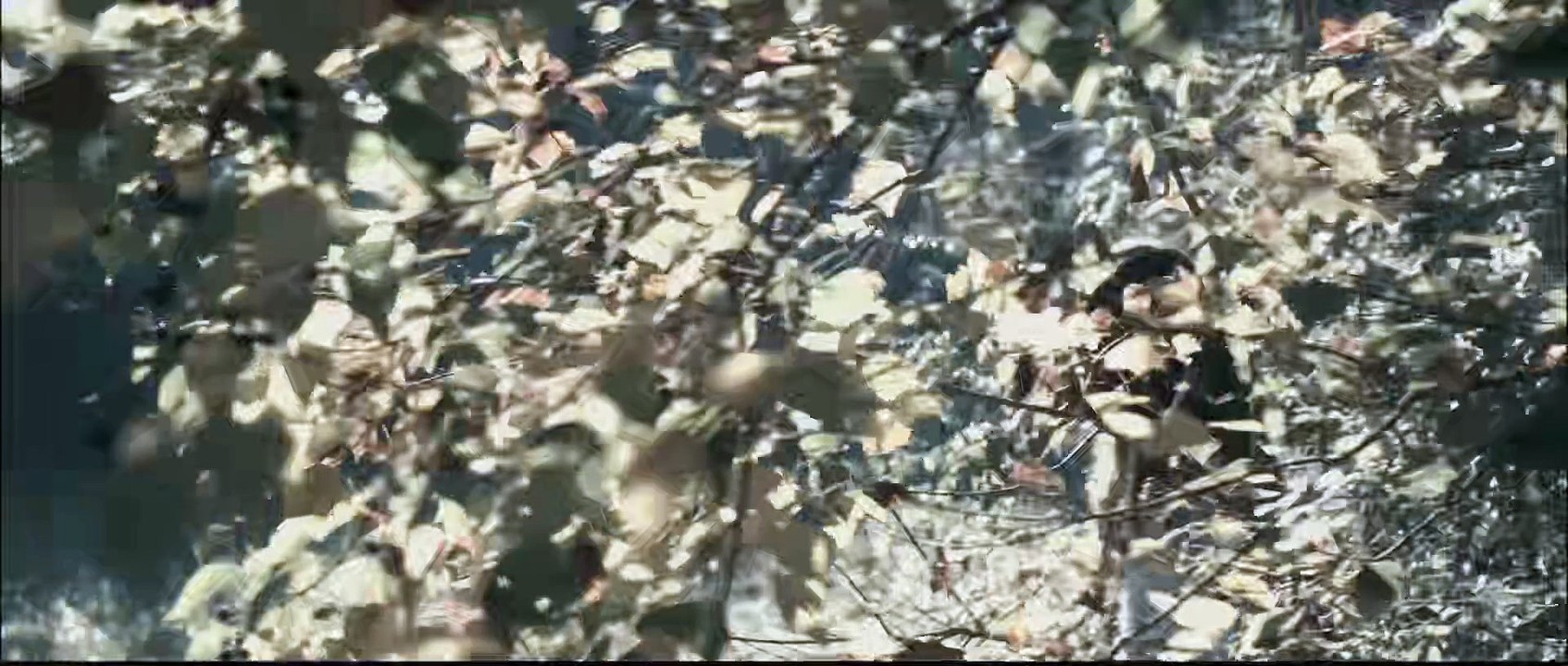 I Spit On Your Grave: 2010 Hollywood Horror / Crime / Revenge Thriller Movie 1080p Full HD