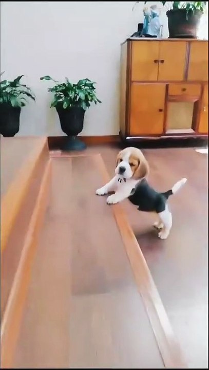 Ne lâche pas ton café.