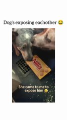 J’ai la preuve, viens avec moi !