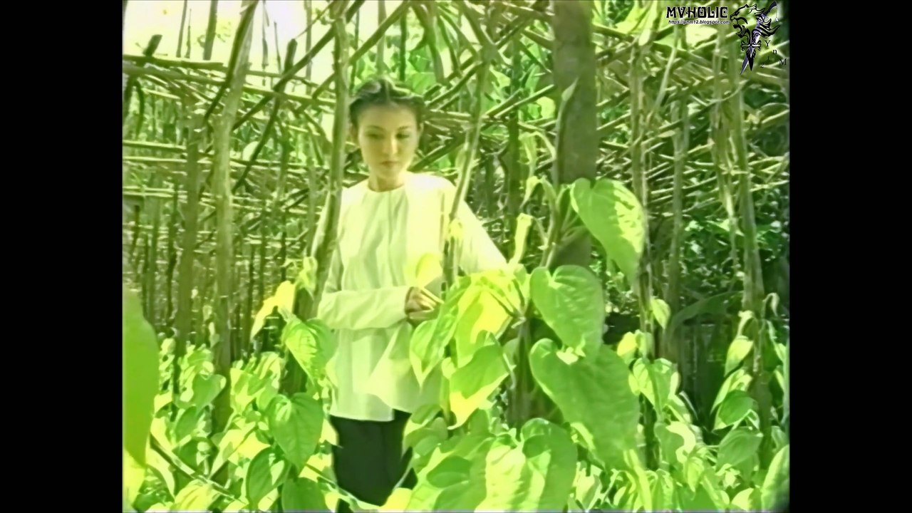 Quang Linh - Trầu ơi [OFFICIAL MV] [4K HD REMASTERED]