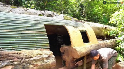 100 Days Alone in the Rainforest - House Build, Giant Oven & Survival Skills #diy #viral #bushcraft