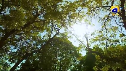 Haya Episode 19 - Drama & Entertainment