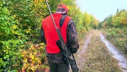 Chasse à l’orignal : une récolte inférieure à la moyenne au Nouveau-Brunswick