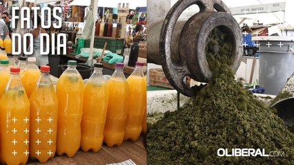 Maniva e tucupi mantêm preços estáveis antes do Círio 2025, mas reajustes são esperados