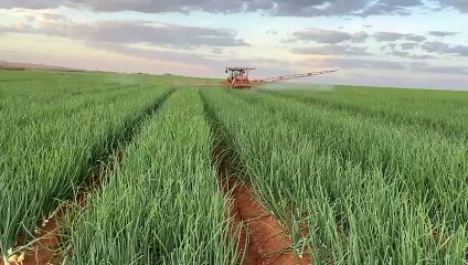 Pivô central comprado pelo agrônomo Cláudio Malinski com recursos do FCO