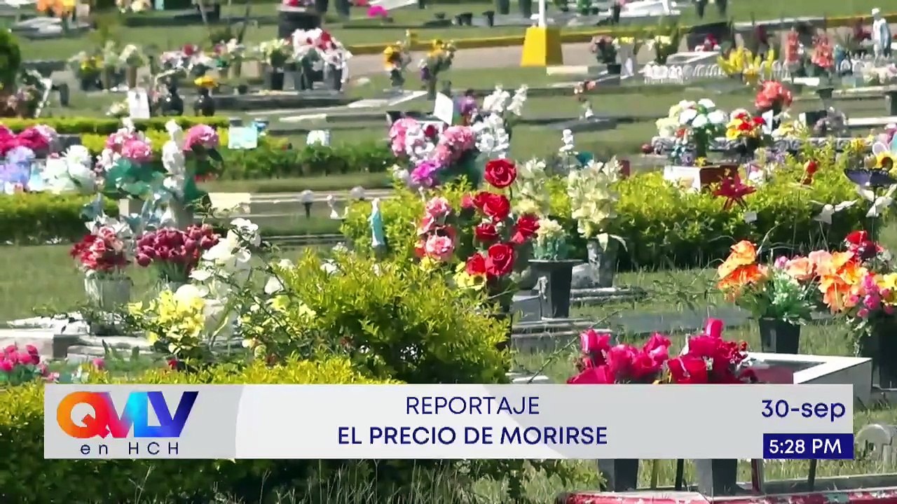 En Vivo (8079)