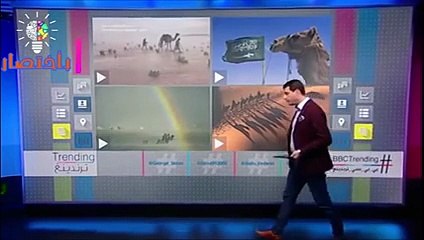 بالفيديو: الإبل تعبر الصحراء السعودية وسط الأمطار والسيول