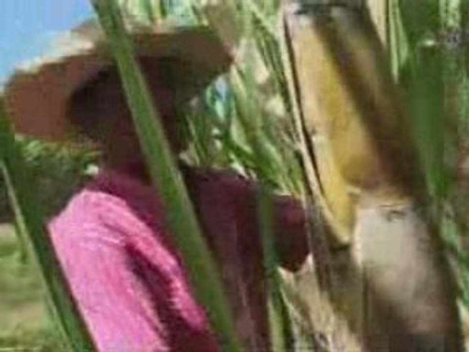 ATV - CTCS Martinique