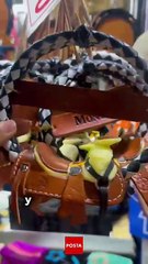 Talabartería, música y baile: así se vive la identidad regia en Nuevo León