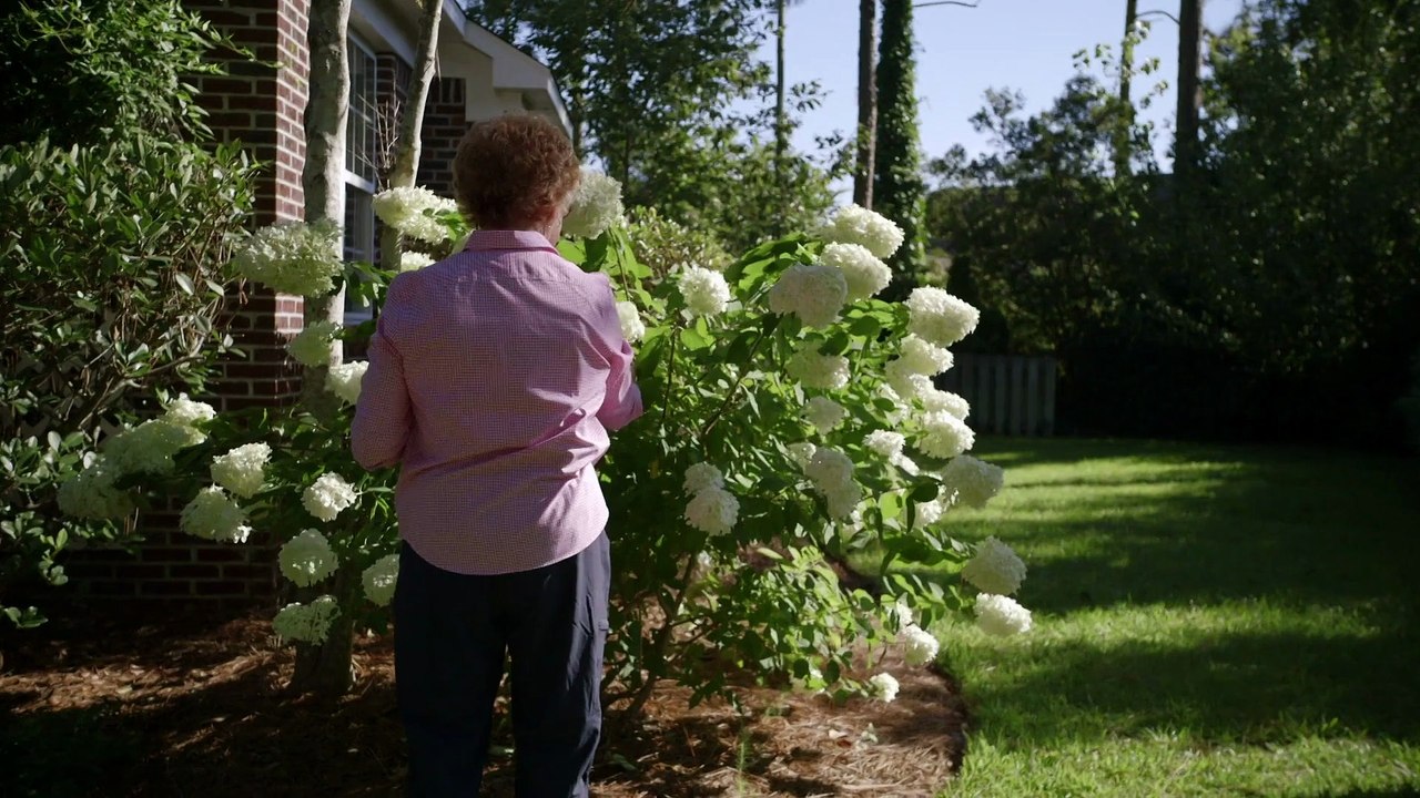 Declassified: Untold Stories of American Spies s01e01 Trigon: The KGB Chess Game