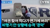 착석 벨트 꺼지자... 수상한 행동에 파리로 '긴급 회항' [지금이뉴스] / YTN