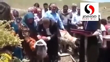 شاهدي.. رقص وغناء في حفل زفاف خروفين!!