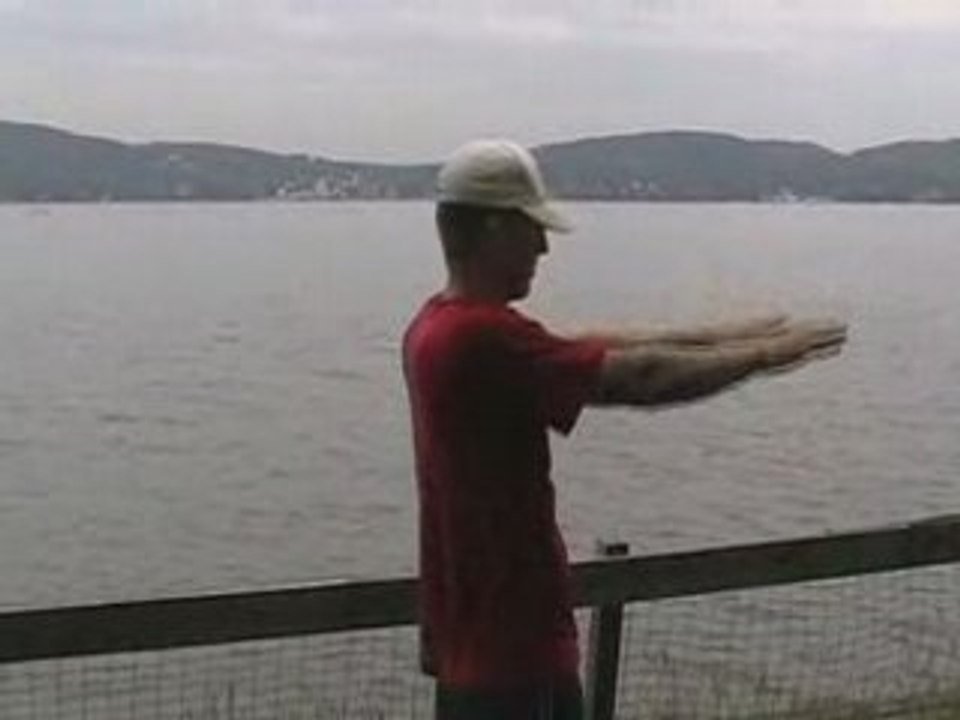 Arm circles-front