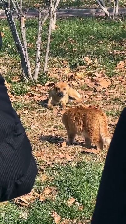 I dare not open my eyes, I hope it is my hallucination