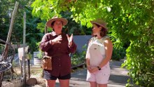 Gardening Australia 2025 Episode 32