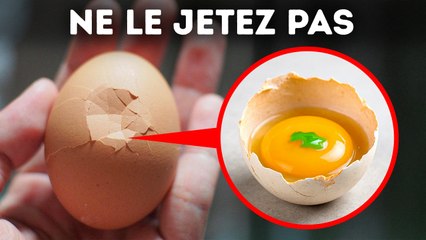 Oui, Vous Pouvez Manger des Œufs Verts (Et d'Autres Vérités Étranges de la Vie Quotidienne)