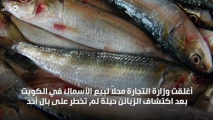 محل أسماك بالكويت يضع عدسات لاصقة للسمك ليبدو طازجاً