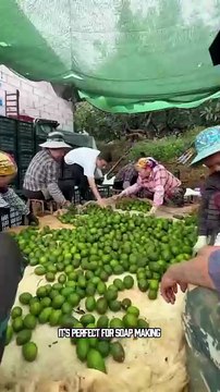 Health Benefits of Avocado Juice - Heart Health: Rich in healthy fats and potassium, avocado juice helps regulate blood pressure and reduce cholesterol. - Vision Support: Contains antioxidants like lutein and zeaxanthin, which protect against cataracts an