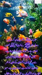 Surah Abasa #deen #quran