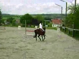 Olympia et Elsa , concour interne du 18.05.08