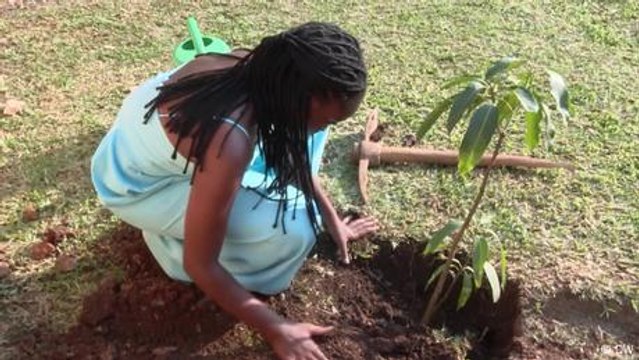 Kids in Uganda adopt trees as pets