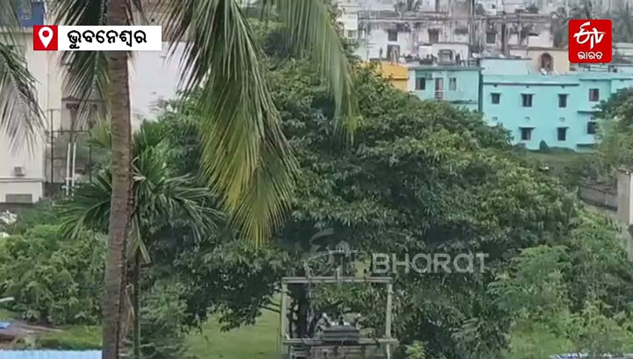 IMD Alert: ଓଡ଼ିଶାରେ 3 ଦିନ ପ୍ରବଳ ବର୍ଷା, ଏସବୁ ଜିଲ୍ଲାକୁ ୟେଲୋ ଓ ଅରେଞ୍ଜ ୱାର୍ଣ୍ଣିଂ