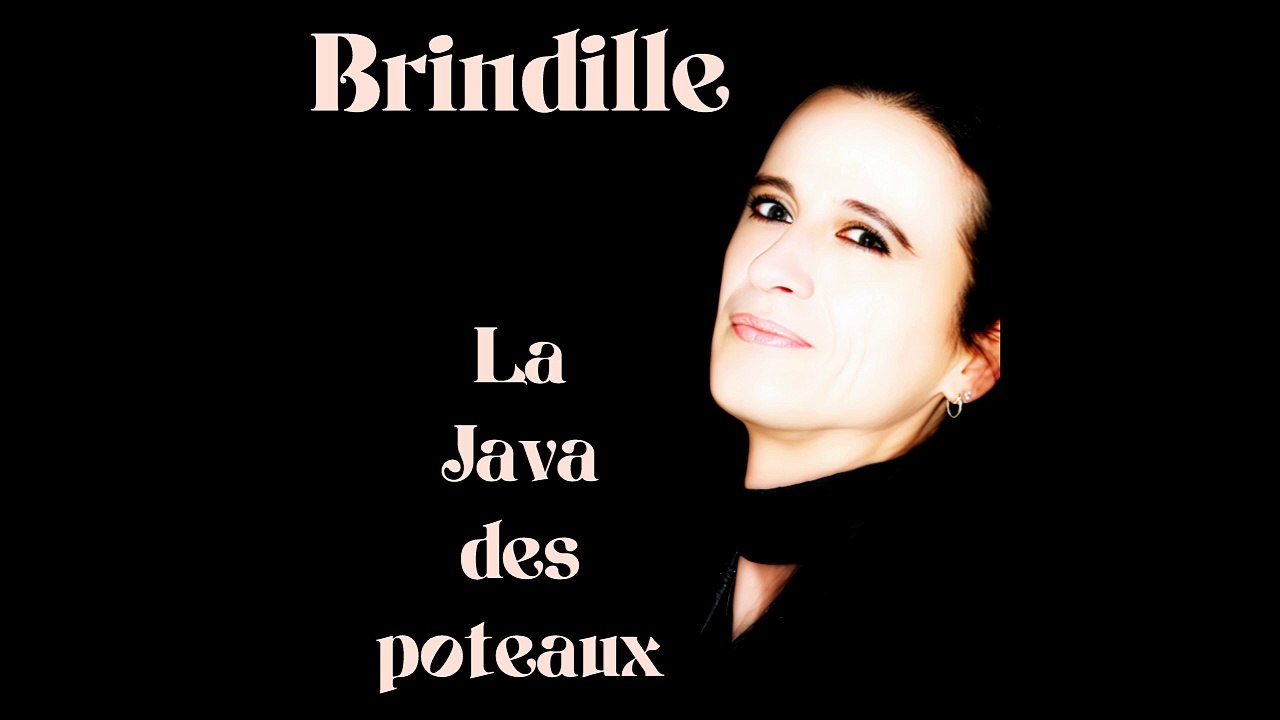 La Java des poteaux (version accordéon) - Brindille