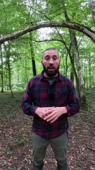 L'Effet Papillon - Un petit noeud, de grandes possibilités