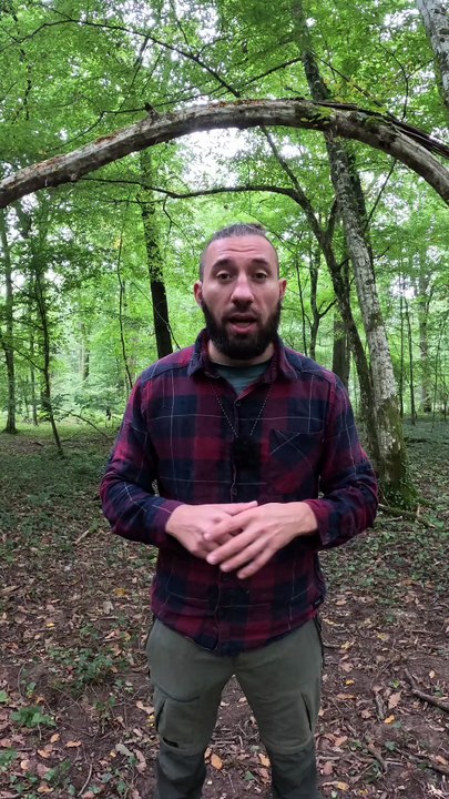 L'Effet Papillon - Un petit noeud, de grandes possibilités