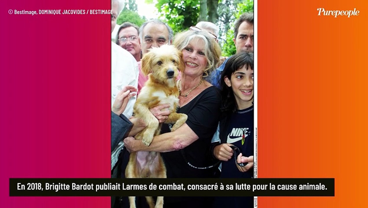 Brigitte Bardot : 7 ans après avoir pris la plume, elle dévoile un projet inattendu dans lequel elle n'épargne pas certaines figures du cinéma