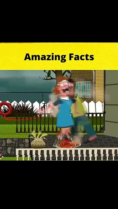 More of Not The Smartest People - Part 5  #shorts  #FactBeast901 - Fact Beast901
