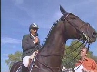 CROCUS GRAVERIE (dernier parcours annoncé..CASTRES