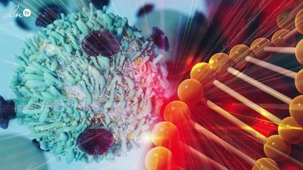 حقائق خطيرة تكشف عن الحبوب المحقونة بالـ GMO