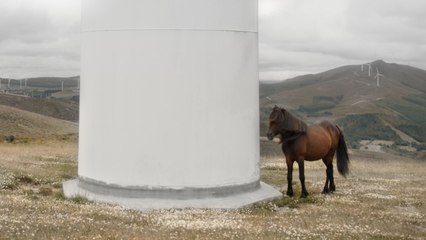 El rugir de las llamas Tráiler