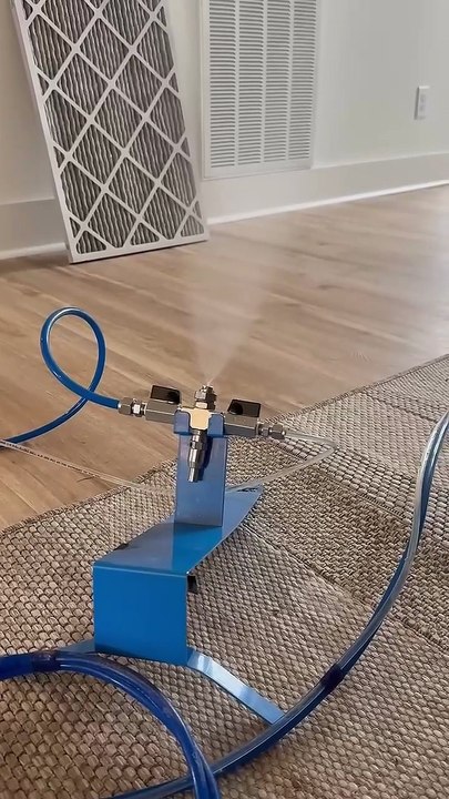 Claro - Mold Treatment Example