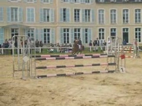 Concours du 18 mai 2008 fauvettes momo et kiwi