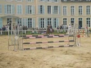 Concours du 18 mai 2008 fauvettes momo et kiwi